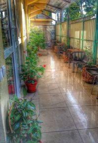 Гостиница Dikovinka-Sochi Guest House Адлер-10